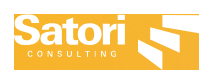 Satori Consulting logo