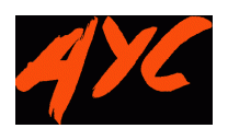 African Youth Charity logo